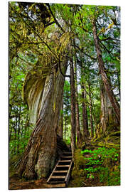 Magnettafel Treppe am Baum