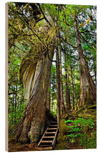 Wood print Stairs on the tree