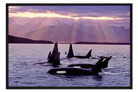 Gerahmter Kunstdruck Familienausflug im Abendlicht