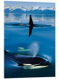 Acrylic print Whales in front of the Range Mountains