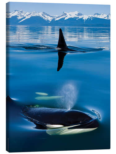 Canvas print Whales in front of the Range Mountains