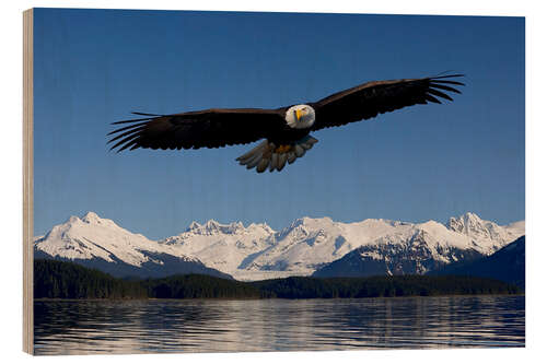 Holzbild Weißkopfseeadler im Tongase-Nationalforst