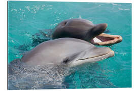 Stampa su plexi-alluminio Two bottlenose dolphins