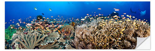 Wall sticker Coral reef off Bali