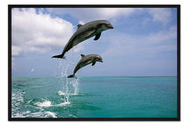Gerahmter Kunstdruck Tümmler die springen