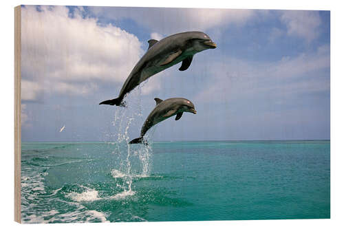 Tableau en bois Grands dauphins sautant hors de l'eau