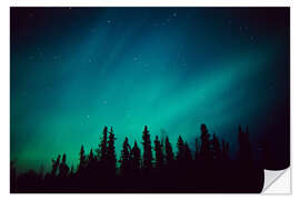 Selvklebende plakat Northern Lights over a spruce forest