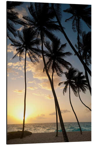 Aluminium print Palm trees at dawn