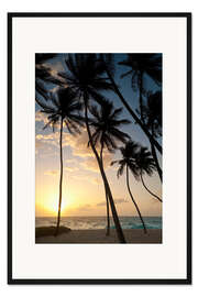 Gerahmter Kunstdruck Palmen in der Morgendämmerung