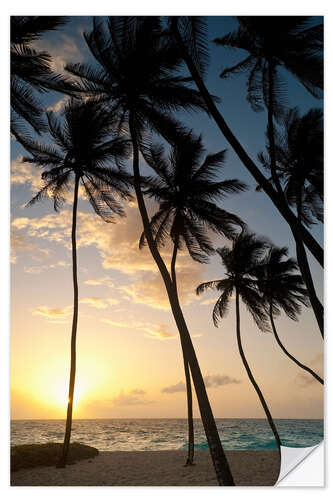 Sisustustarra Palm trees at dawn