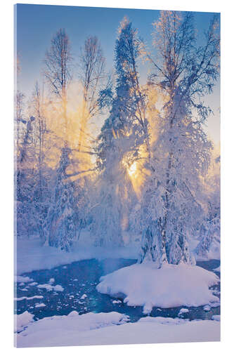 Akrylglastavla Small stream in hoarfrost