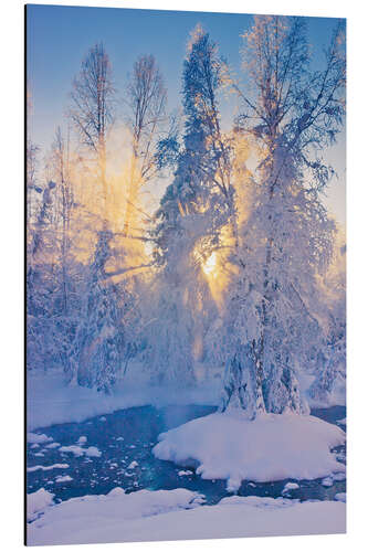 Tableau en aluminium Petit ruisseau avec du givre