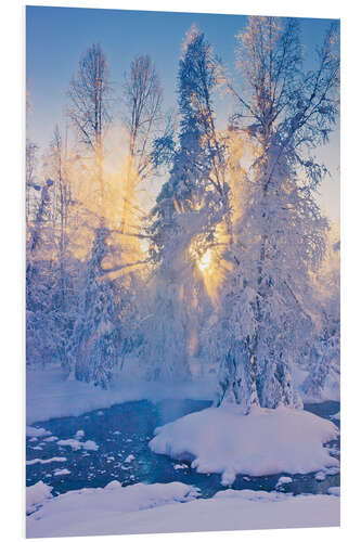 Foam board print Small stream in hoarfrost