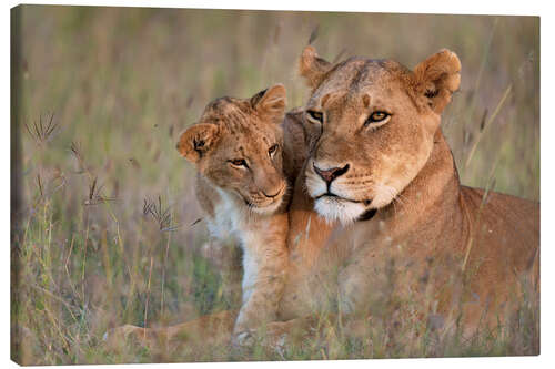 Lærredsbillede Lioness with cub