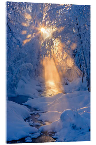 Acrylic print Stream in a winter forest