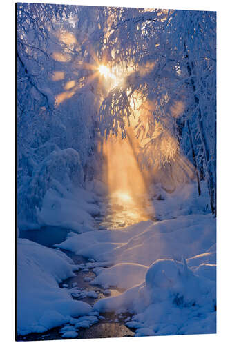 Obraz na aluminium Stream in a winter forest