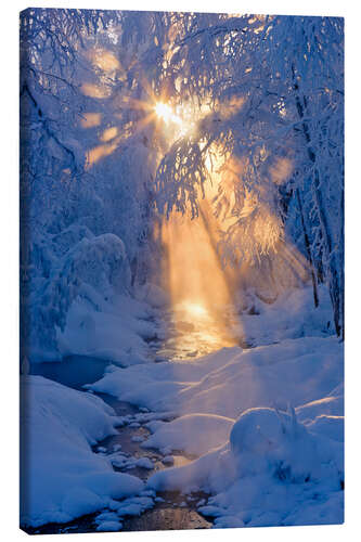 Leinwandbild Bach im Winterwald