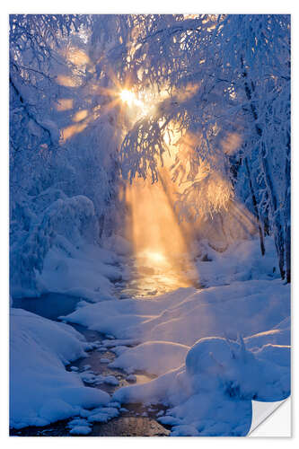 Selvklebende plakat Stream in a winter forest