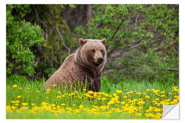 Sisustustarra A brown bear on a dandelion meadow