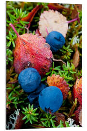 Magnettafel Heidelbeeren im Herbst