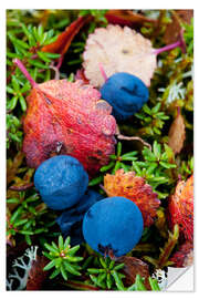 Selvklebende plakat Blueberries in autumn