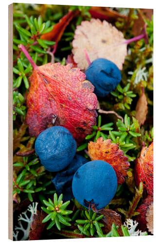 Holzbild Heidelbeeren im Herbst