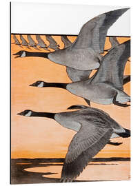 Magnettafel Cover of Country (Reise in den Süden)