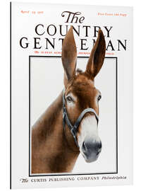 Aluminium print Country Gentleman (donkey)