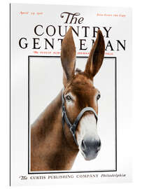 Quadro em plexi-alumínio Country Gentleman (donkey)