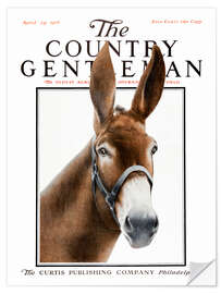 Selvklæbende plakat Country Gentleman (donkey)