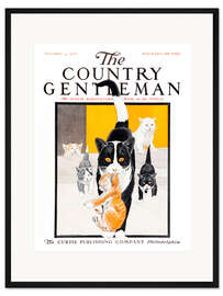 Gerahmter Kunstdruck Country Gentleman (Katzenfamilie)