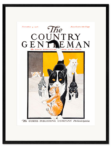 Impression artistique encadrée Country Gentleman (famille de chats)