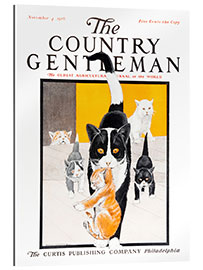 Quadro em plexi-alumínio Country Gentleman (cat family)