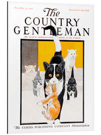 Magnettafel Country Gentleman (Katzenfamilie)
