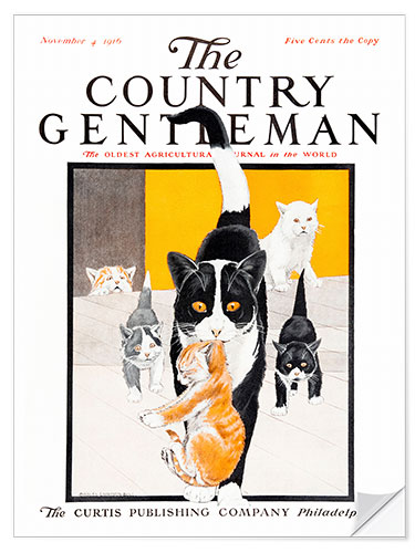 Sticker mural Country Gentleman (famille de chats)