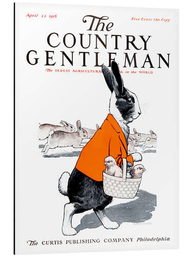 Stampa su alluminio Cover of Country Gentleman (Hare)