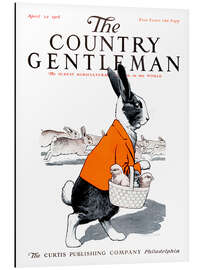 Magnettafel Cover of Country Gentleman (Hase)
