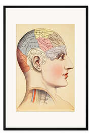 Gerahmter Kunstdruck Karte des menschlichen Gehirns (Englisch)