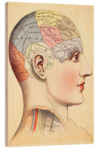 Wood print Map of the human brain