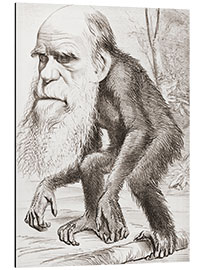 Aluminiumtavla Charles Darwin caricature, Hornet