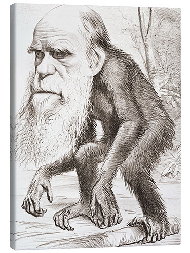 Canvas print Charles Darwin caricature, Hornet