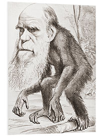 Foam board print Charles Darwin caricature, Hornet