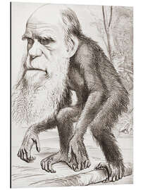 Magnettafel Charles-Darwin-Karikatur, Hornet
