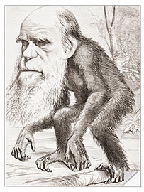 Sticker mural Caricature de Charles Darwin, Hornet