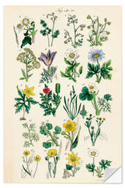 Wandsticker Wildblumen, Fig. 01-20