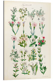 Tableau en aluminium Fleurs sauvages, fig. 161-180