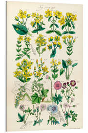 Aluminium print Wildflowers, fig. 241-260