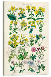 Canvas print Wildflowers, fig. 241-260