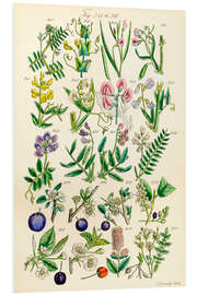 Foam board print Wildflowers, fig. 341-360