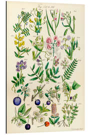 Magnettafel Wildblumen, Fig. 341-360